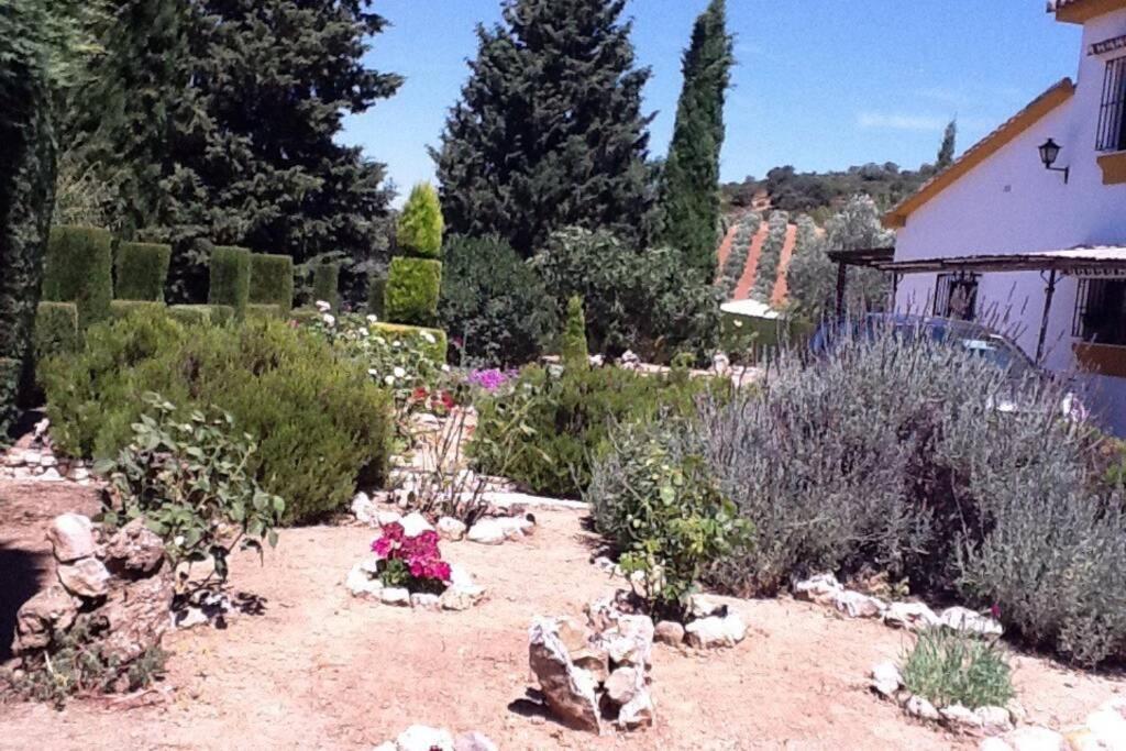 Finca Los Abetos Villa Villanueva del Rosario Ngoại thất bức ảnh